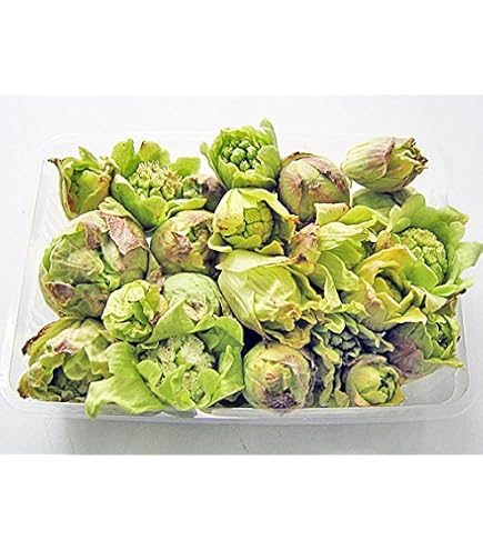 Amazon.co.jp: 北海道産 朝採り タラの芽 15個 たらの芽 : 食品・飲料